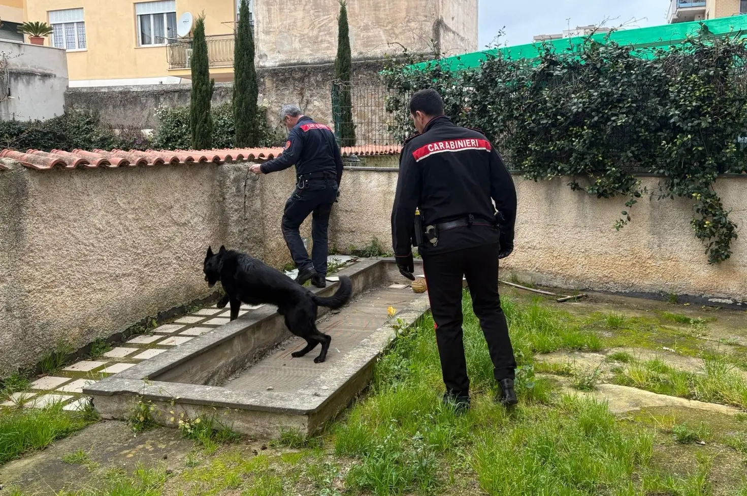 Anzio e Nettuno: controlli serrati dei Carabinieri, due arresti e una minorenne denunciata