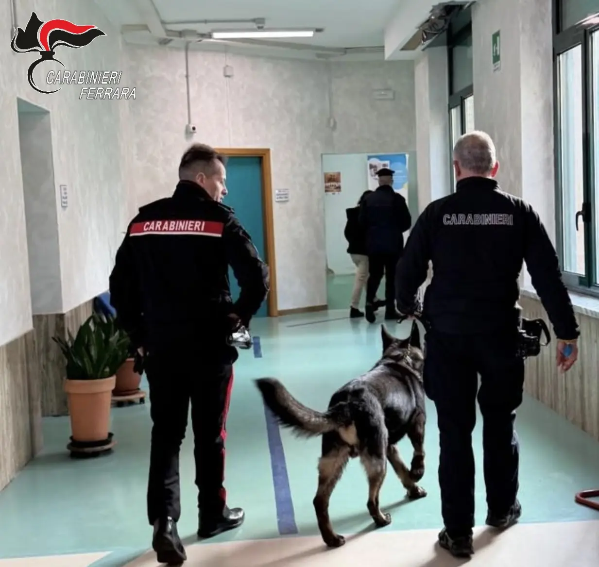 Carabinieri con cani antidroga in una scuola di Ferrara