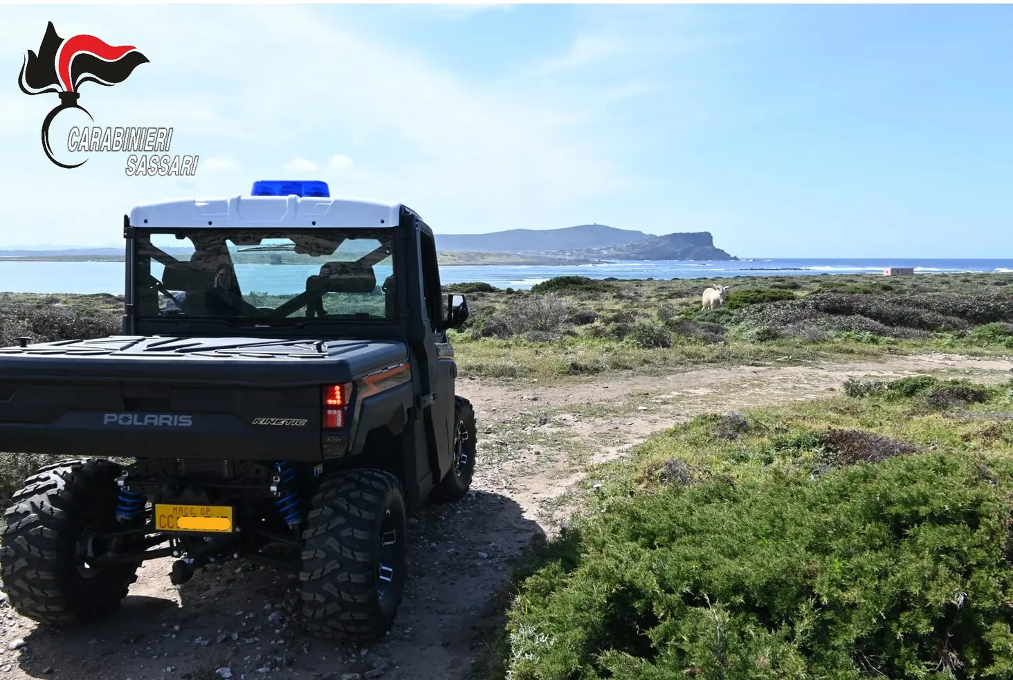 Carabinieri: controlli a tappeto nel Sassarese