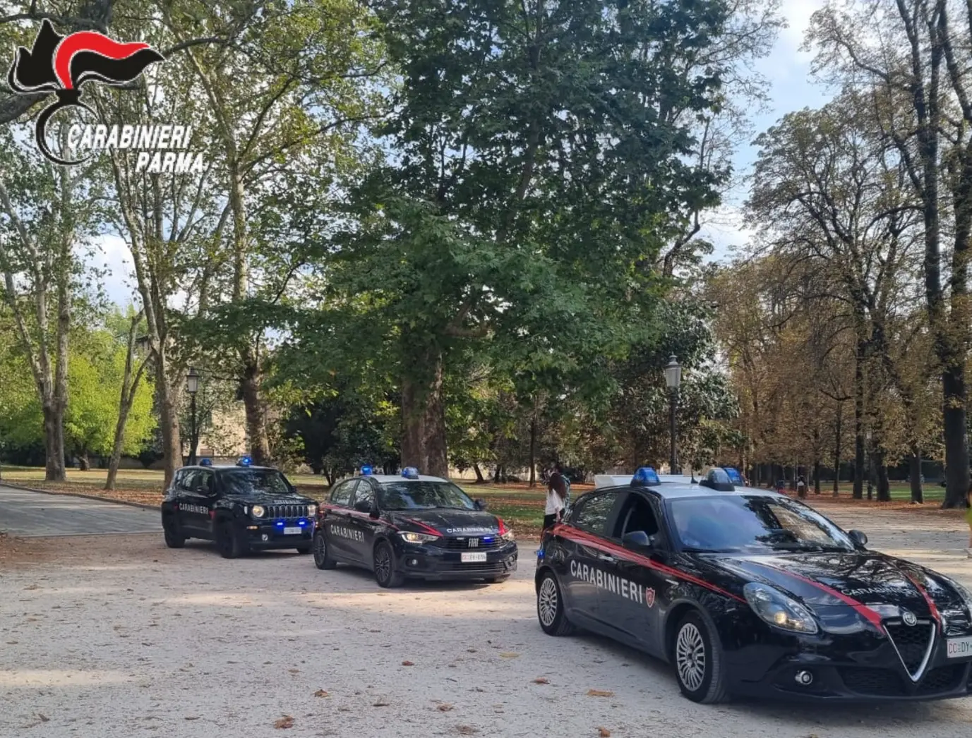 Carabinieri: controllo territorio e furto risolto a Parma