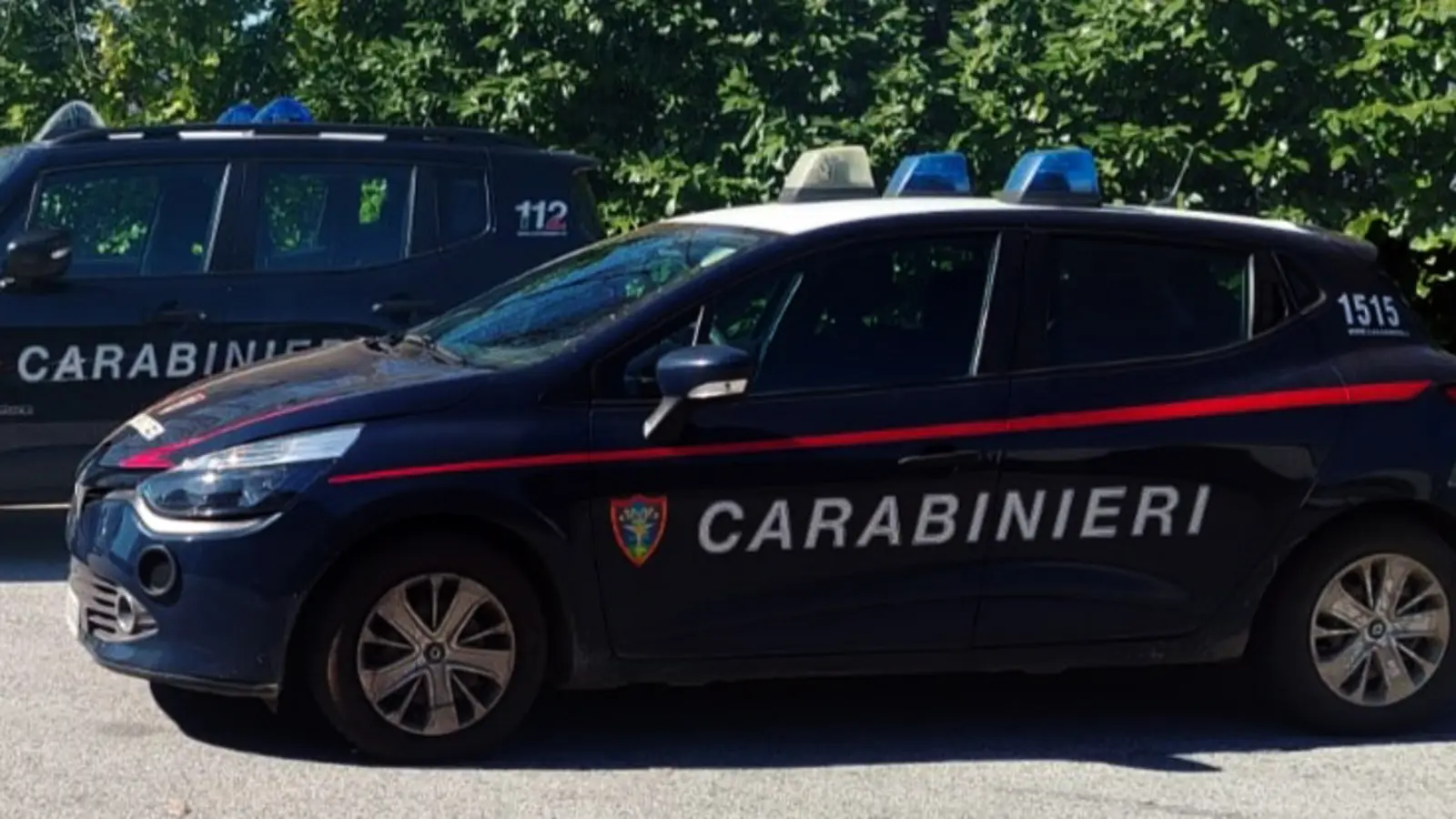 Carabinieri Forestali: comunicato stampa su indagini
