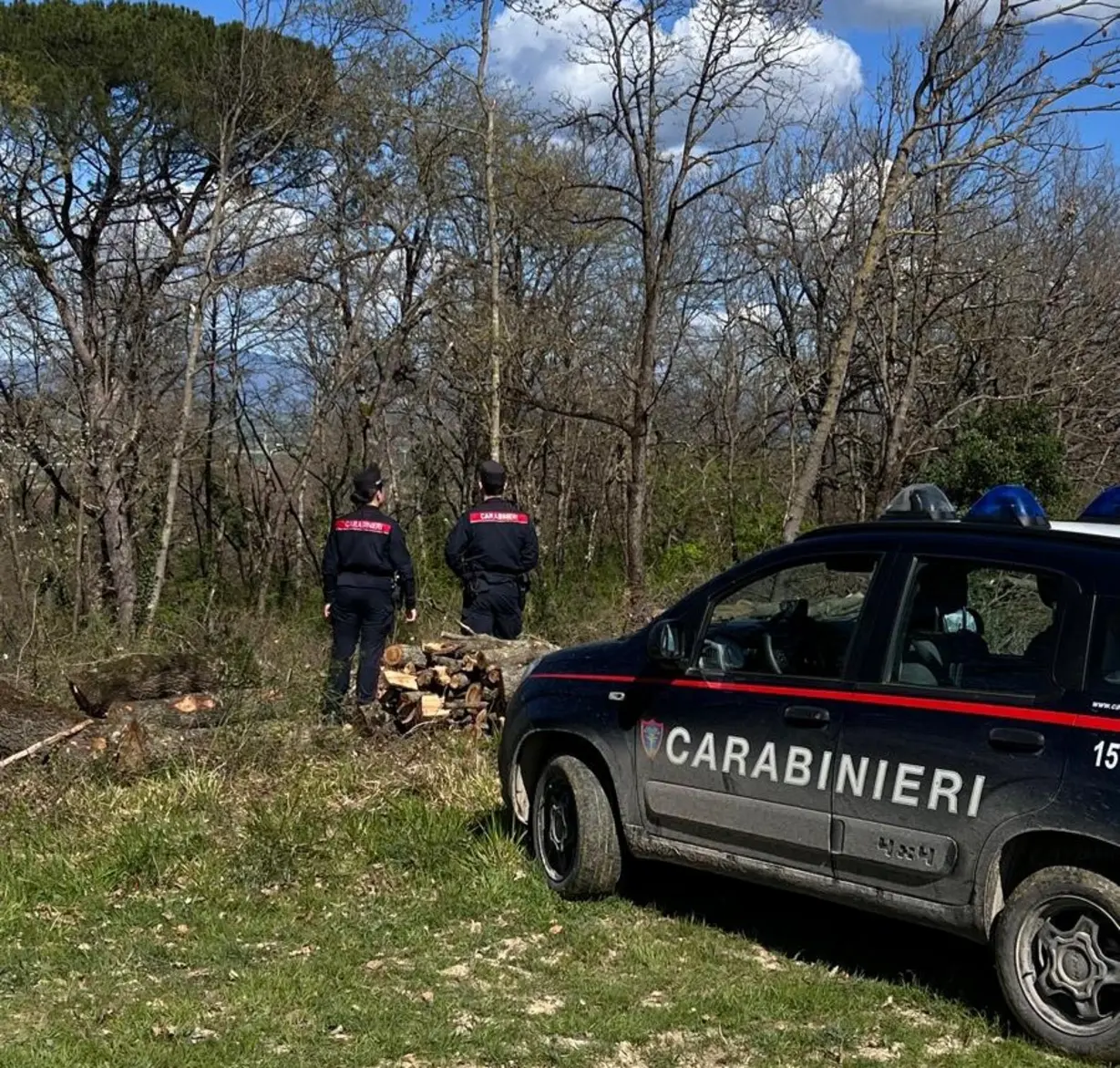 Carabinieri Forestali: sequestro droga e arresti in Toscana
