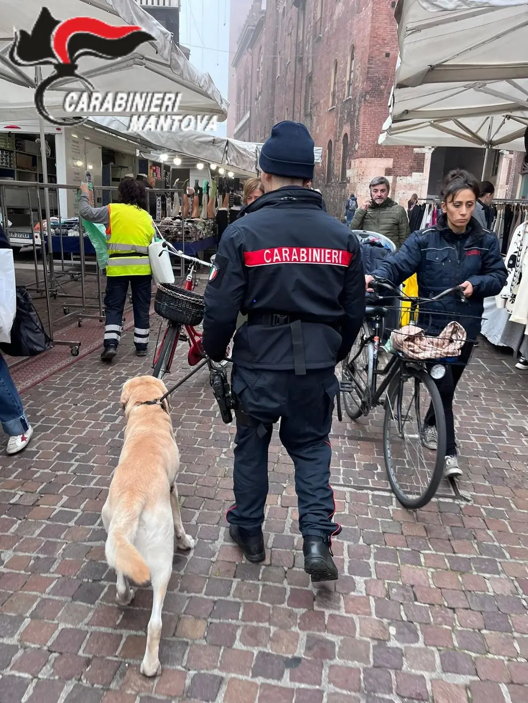 Carabinieri intensificano controlli nelle scuole di Mantova