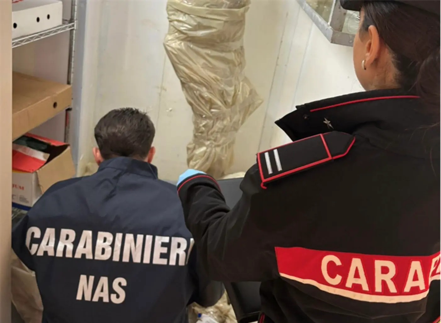 Carabinieri: controlli a Lamezia, sequestrata tonnellata di alimenti