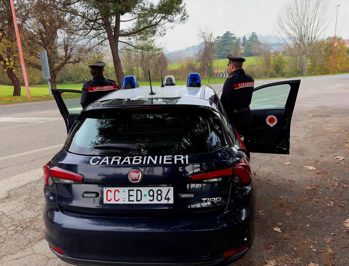 Carabinieri: maxi operazione antidroga in provincia