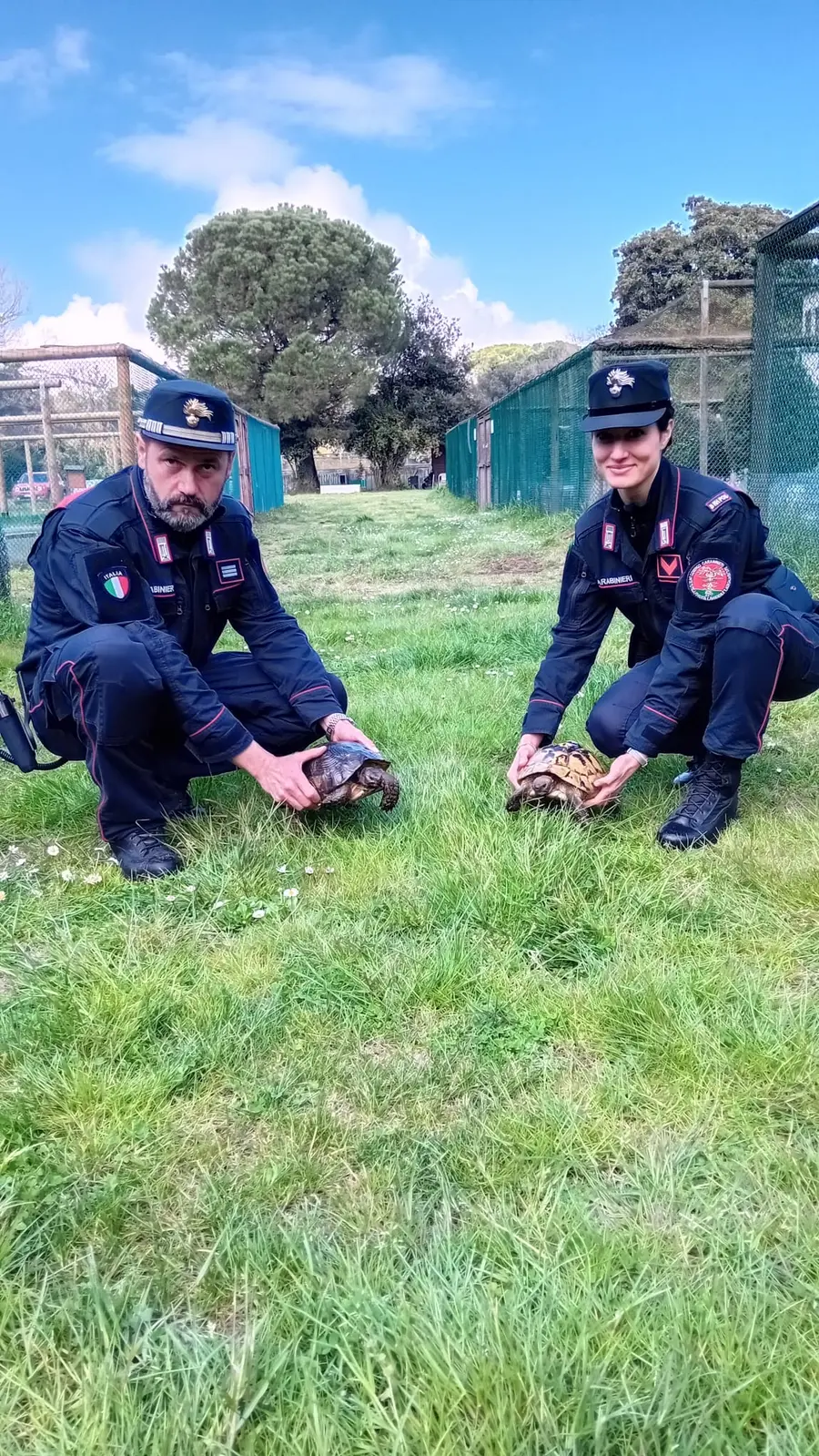 Carabinieri salvano tartarughe protette a Ravenna