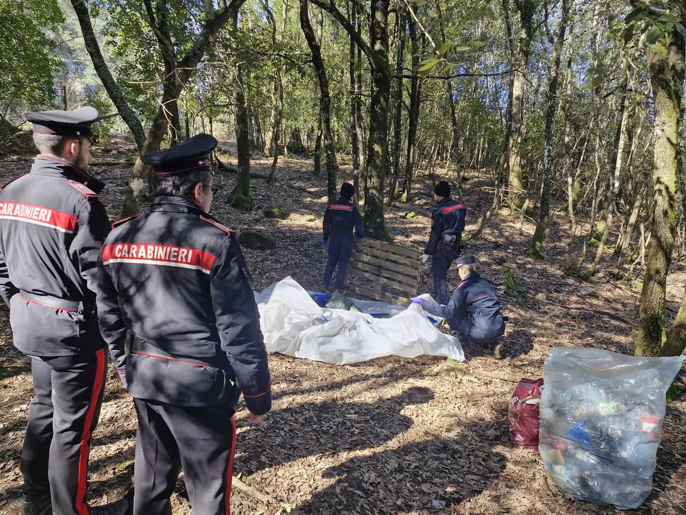 Carabinieri scoprono bivacco illegale nel bosco senese