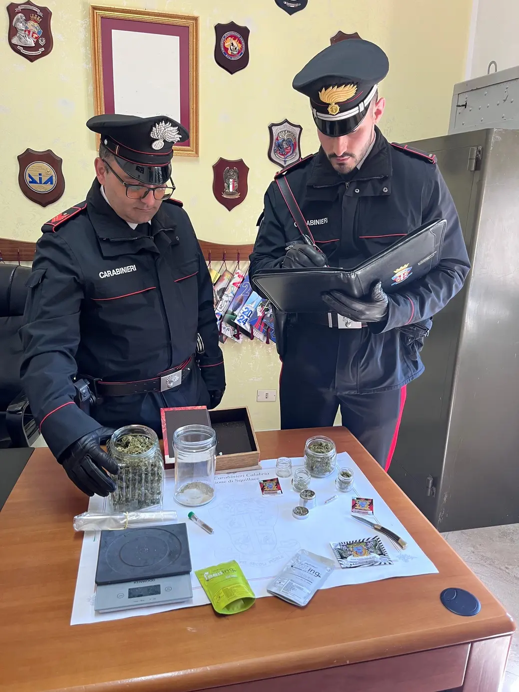 Carabinieri scoprono mini-serra di marijuana a Catanzaro