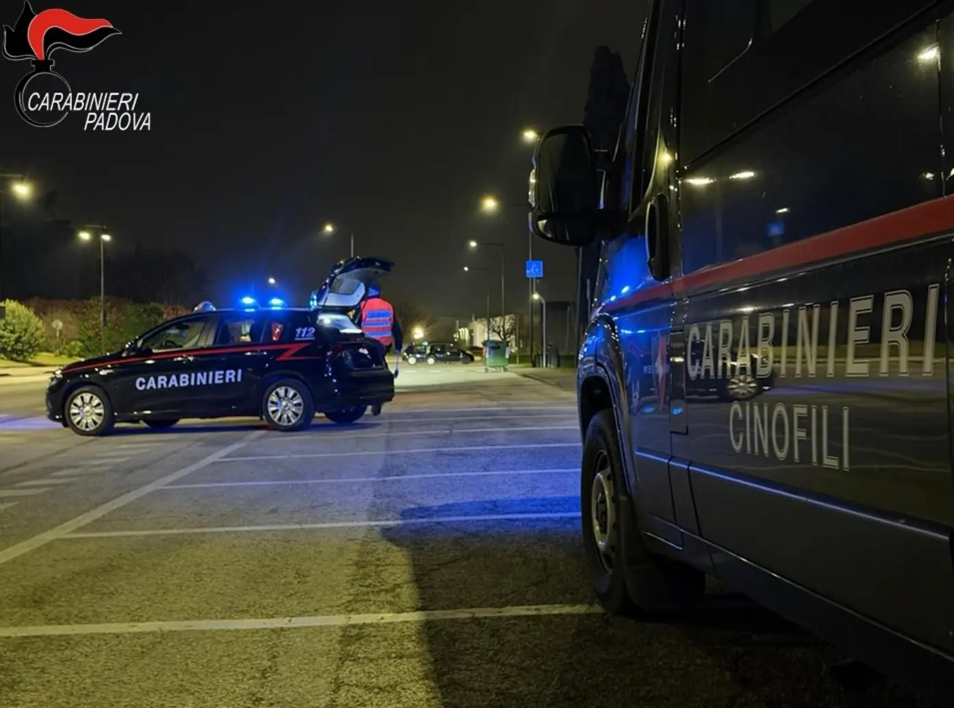 Carabinieri scoprono traffico illecito di animali a Cittadella