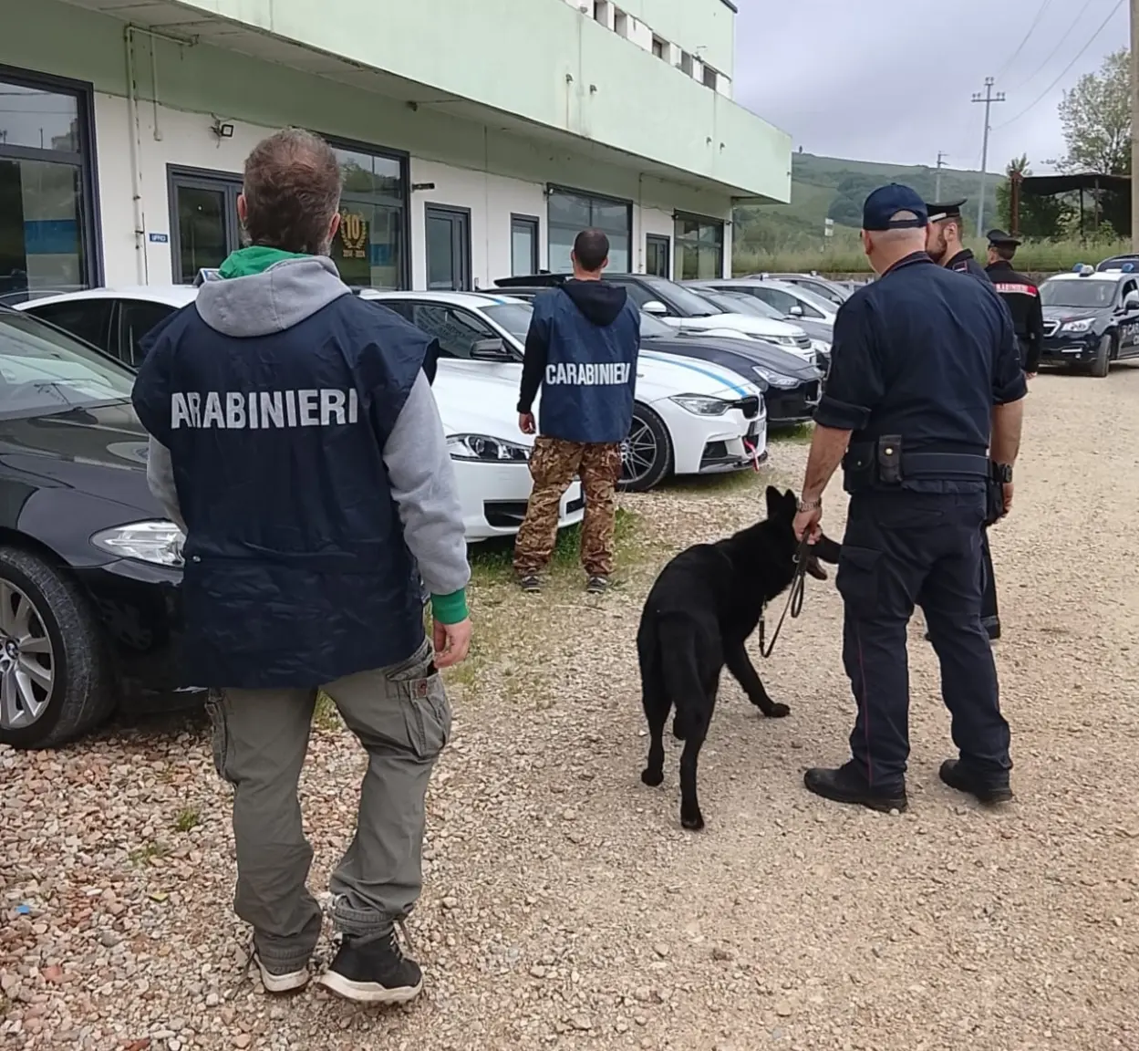 Carabinieri di Urbino: operazione antidroga a Sassocorvaro Auditore