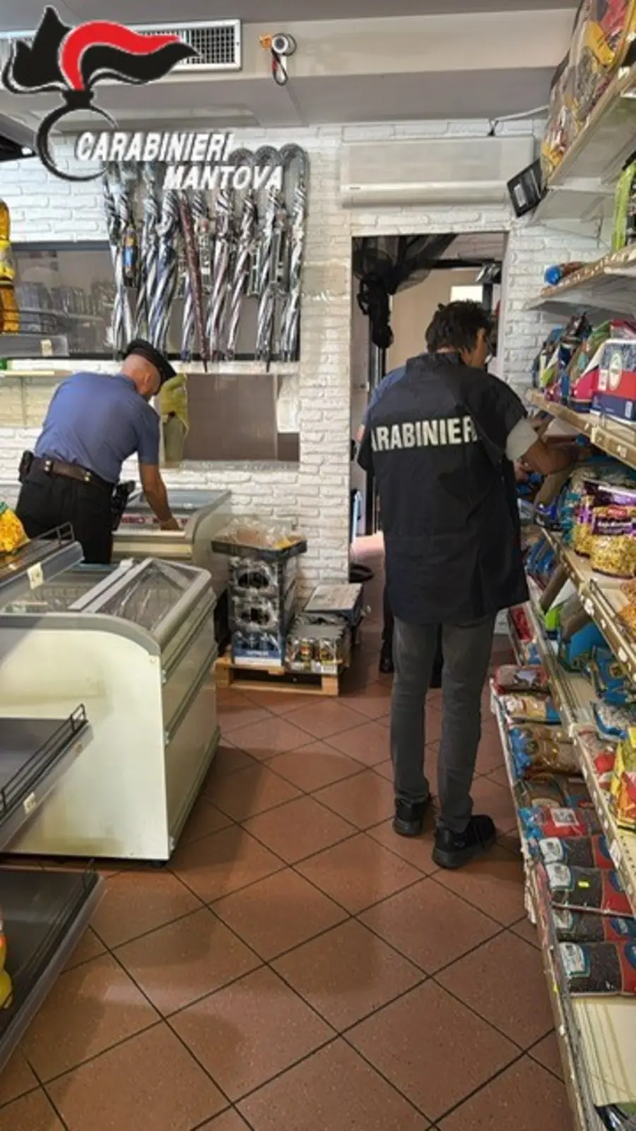 Furto asilo, aggressione e rissa: cronaca di una notte a Mantova