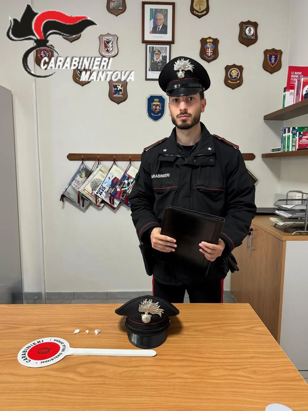 Furto e incidenti: i Carabinieri sul territorio mantovano