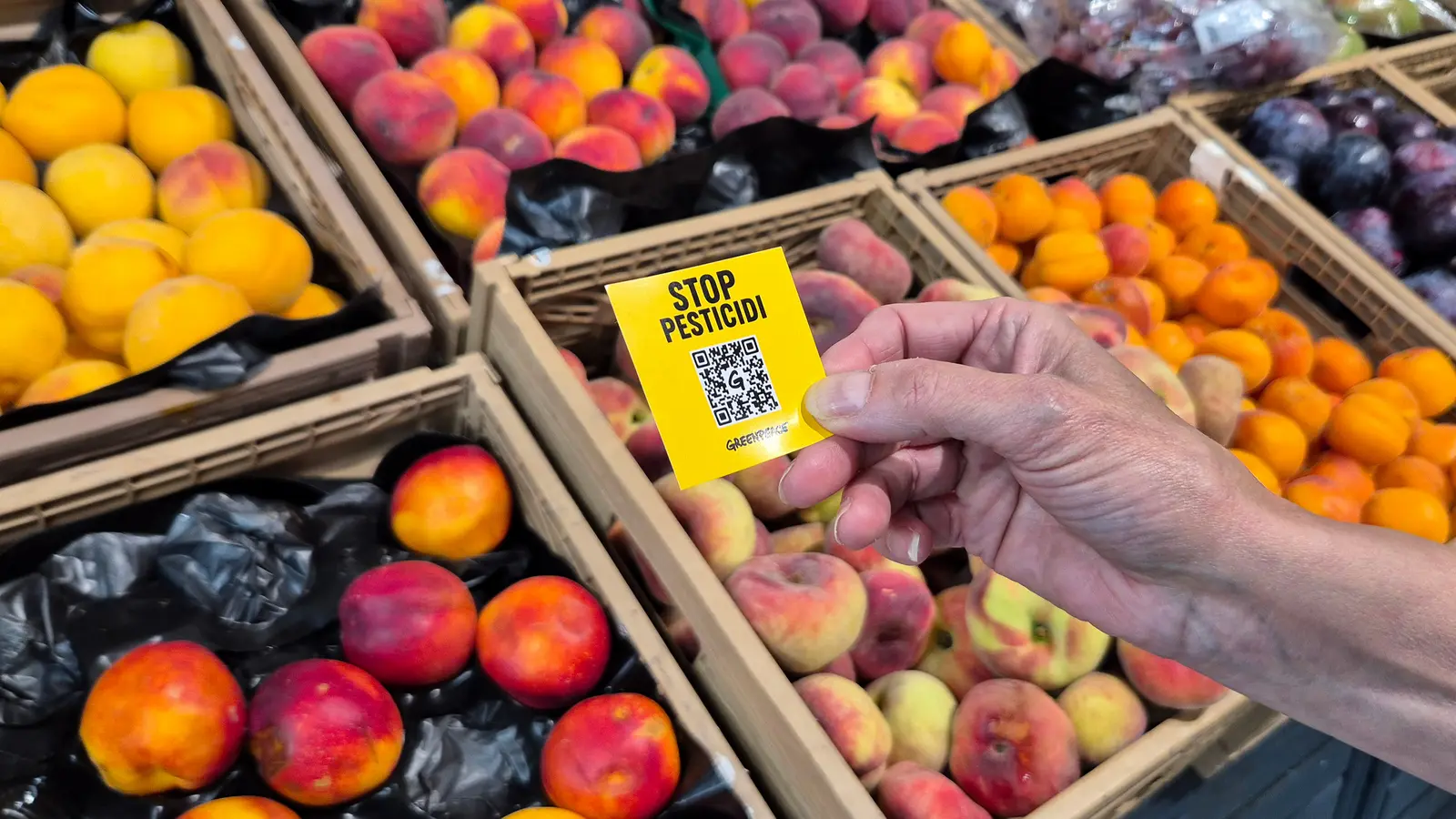 Greenpeace: volontari nei supermercati contro i pesticidi