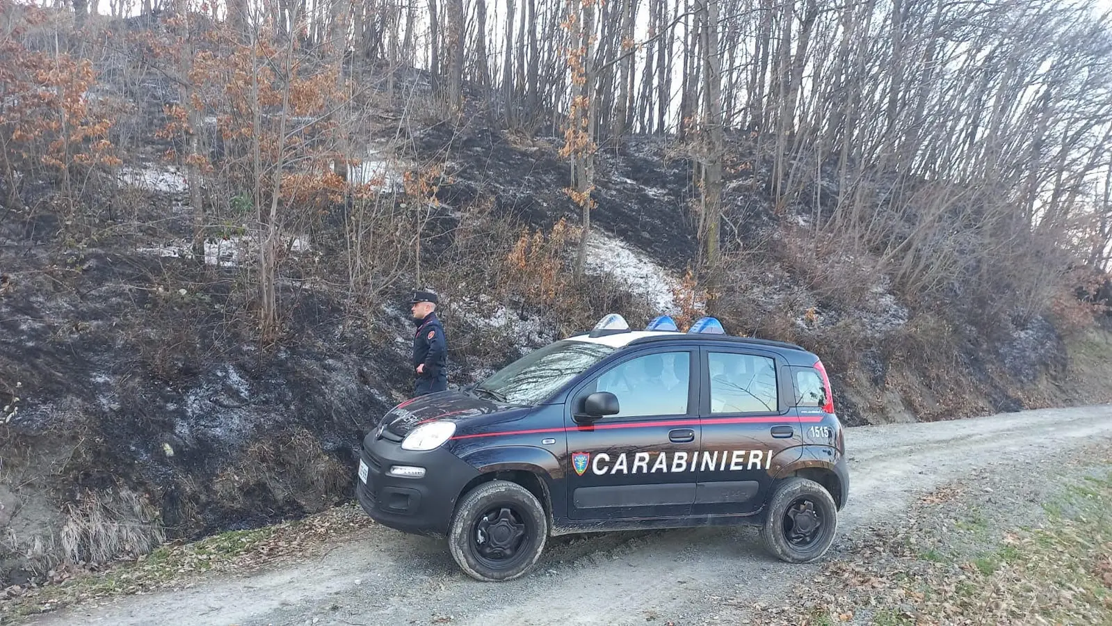 Incendi boschivi: Carabinieri indagano su roghi in provincia di Parma