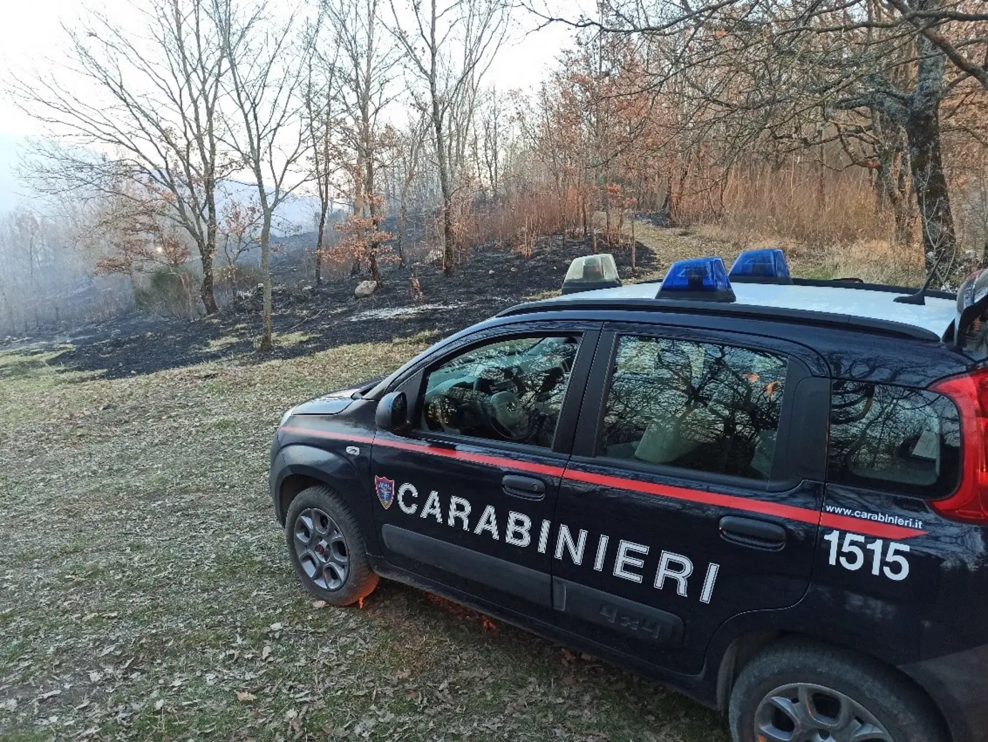 Incendio boschivo: Carabinieri intervengono in zona impervia