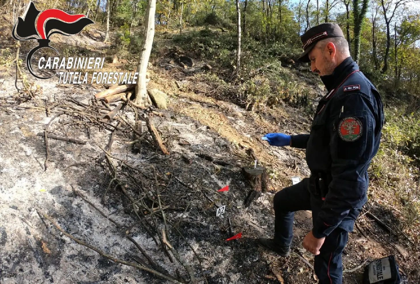 Incendio boschivo: indagini dei Carabinieri Forestali a Bergamo