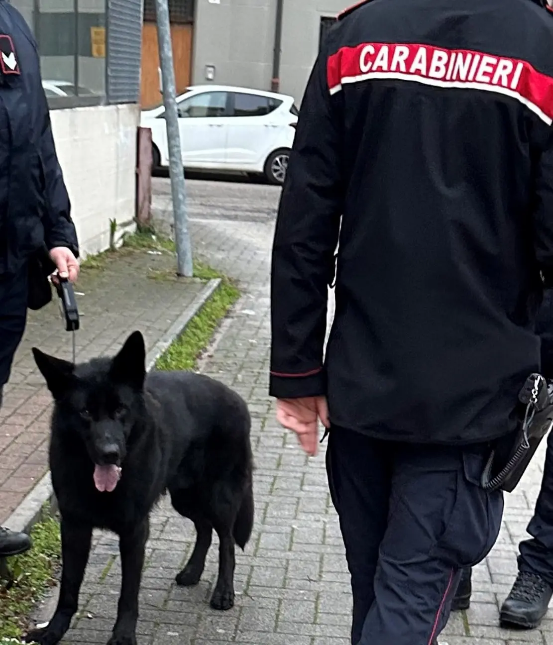 Maxi blitz antidroga: arresti e sequestri a Cesena