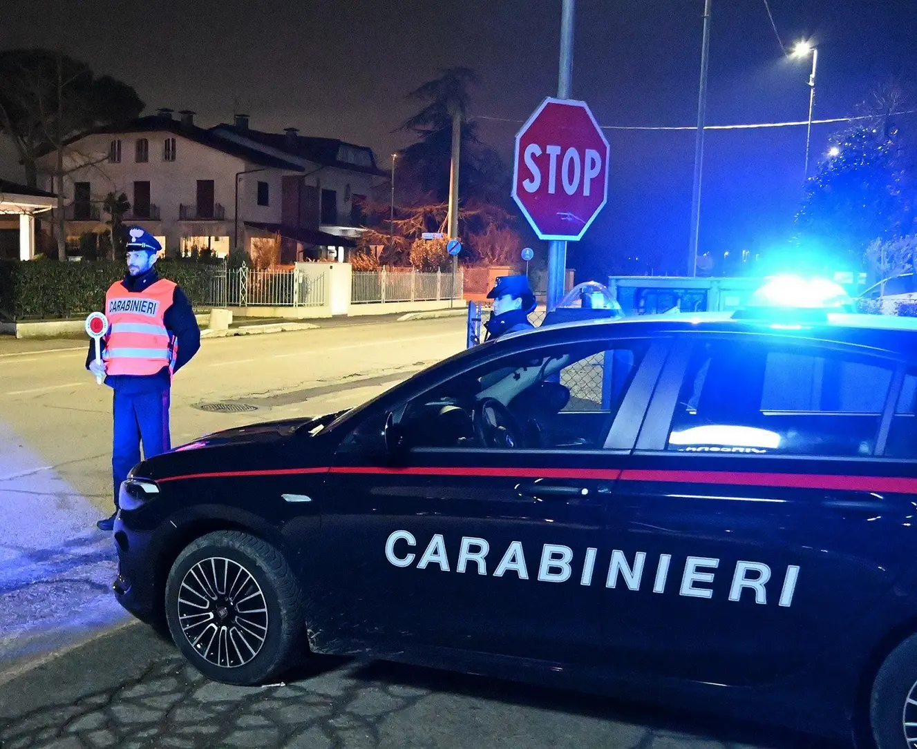 Maxi-blitz dei Carabinieri: 15 arresti per droga e armi