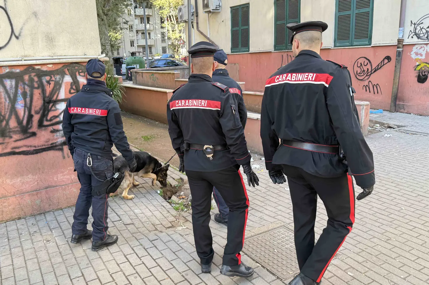 Maxi operazione antidroga a Roma: 17 arresti e oltre 11 kg di stupefacenti sequestrati