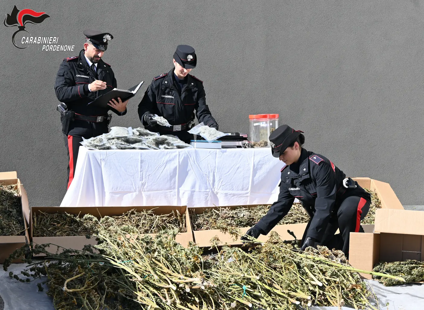 Maxi sequestro di marijuana: 28 kg scoperti dai Carabinieri
