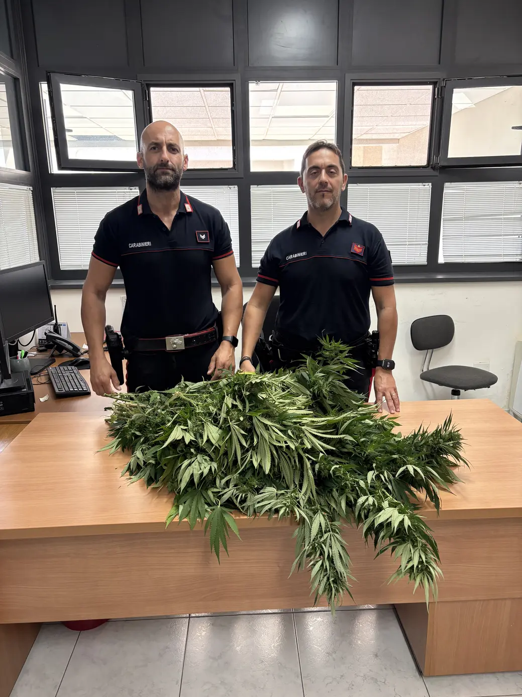 Maxi sequestro di marijuana a Catanzaro
