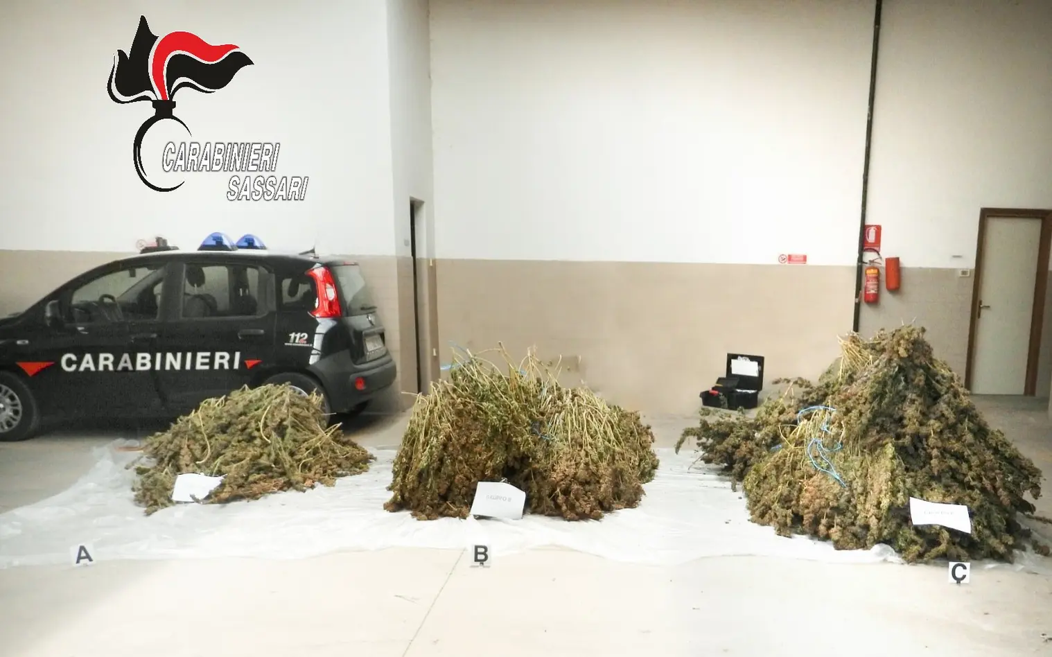 Maxi sequestro di marijuana a Ittiri: arrestato 46enne