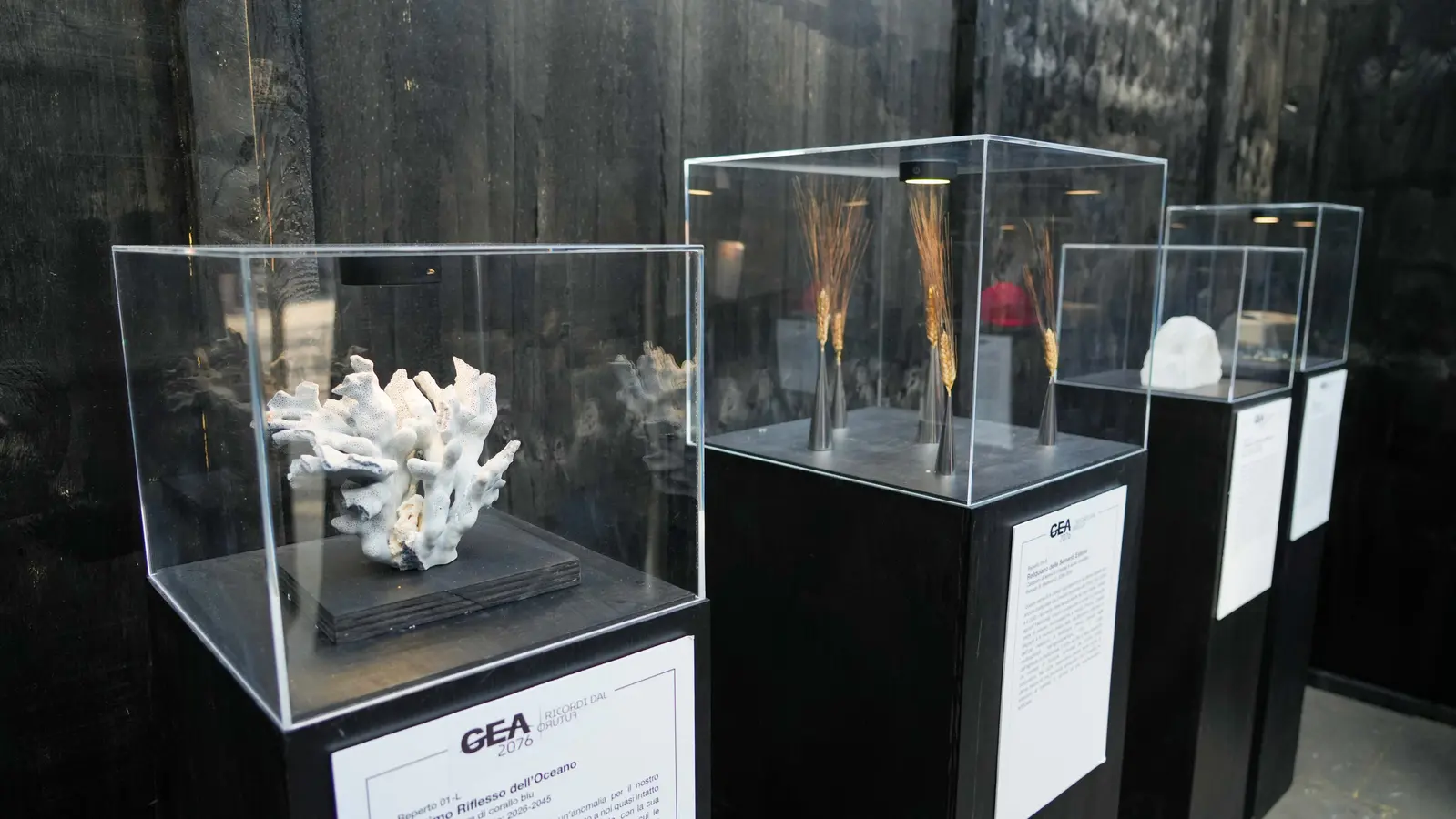 Mostra crisi climatica: 155 milioni di euro di danni nel Lazio