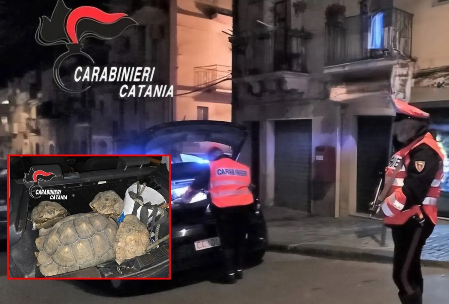 Operazioni dei Carabinieri: arresti e denunce nel Catanese