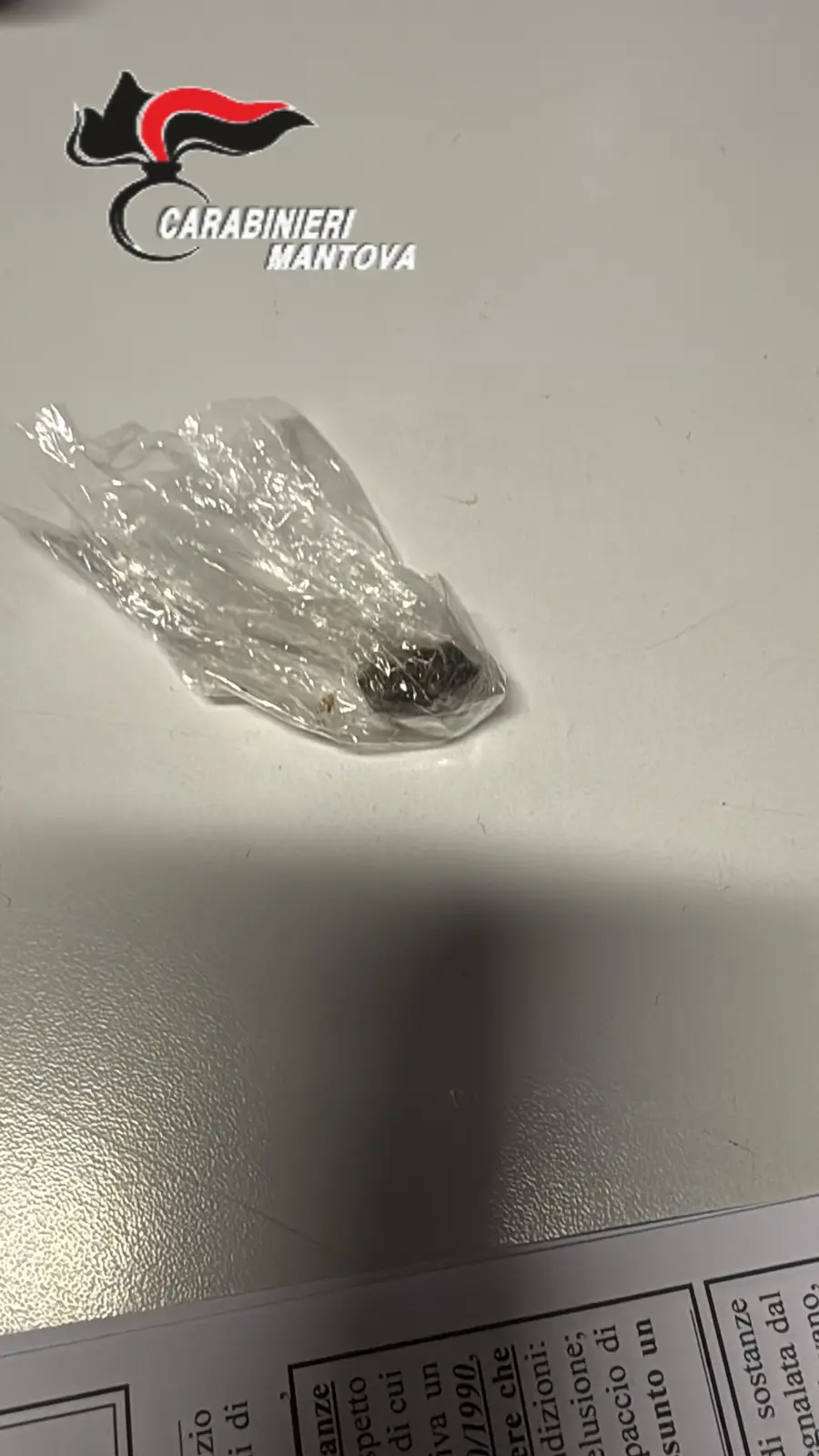Ostiglia: controlli antidroga tra gli studenti