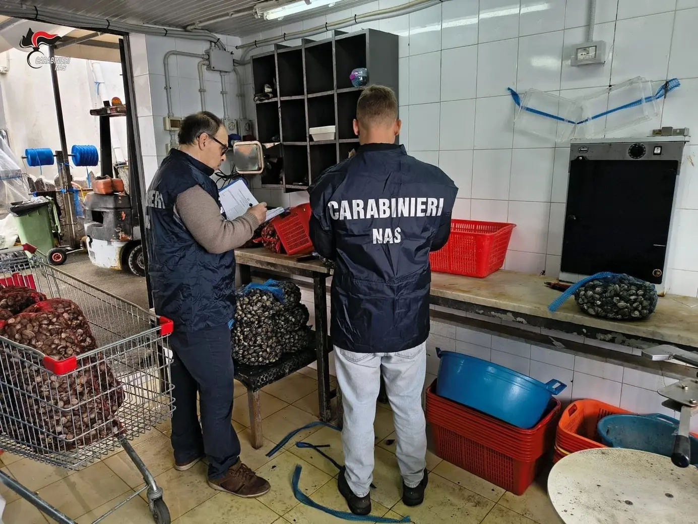 Palermo: sequestrati 4 quintali di pesce, chiuso vivaio