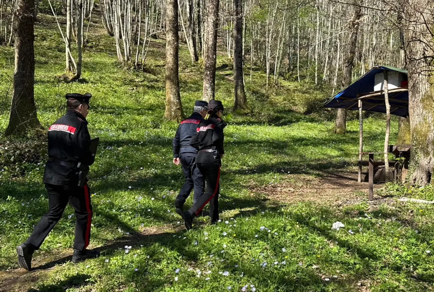 Pasqua sicura a Velletri: 2 arresti e 4 denunce dei Carabinieri