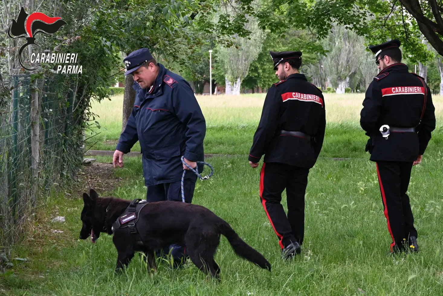 Rissa e droga: 6 denunce a Parma