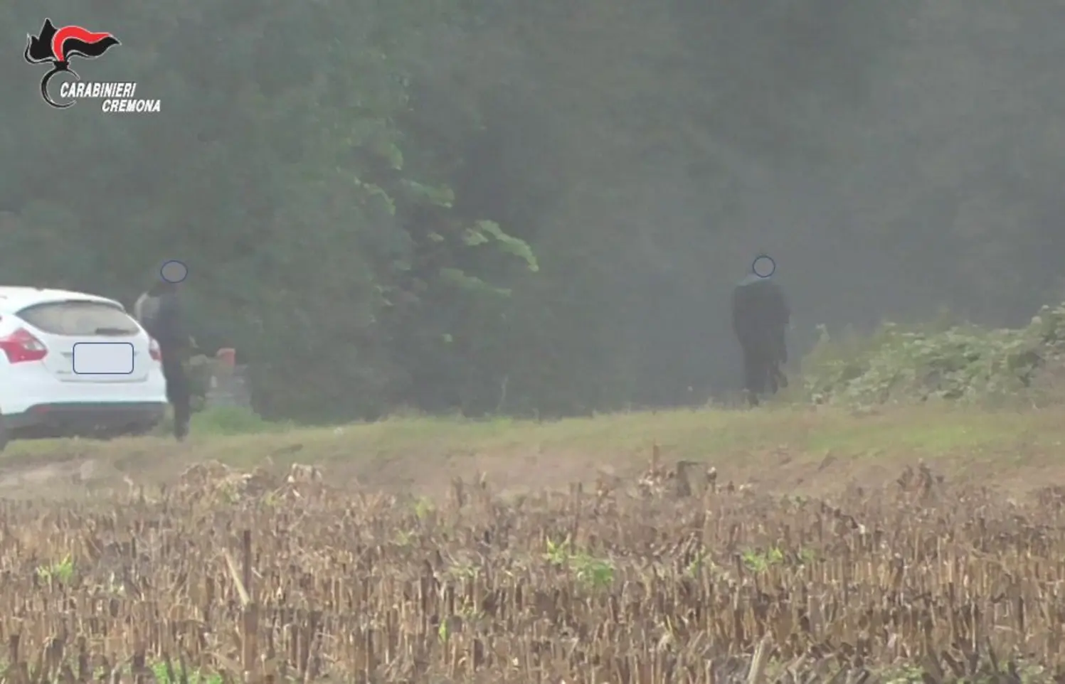 Ritrovamento corpo in un campo: indagini in corso a Cremona