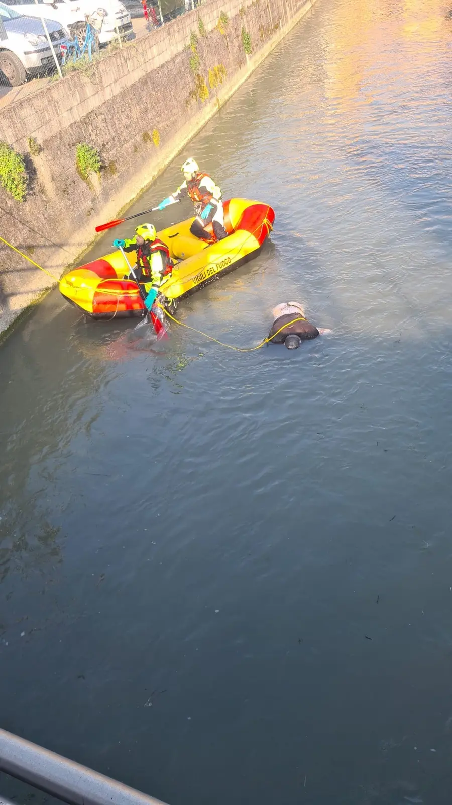 Ritrovato corpo senza vita nel canale Molinella a Castel d'Ario
