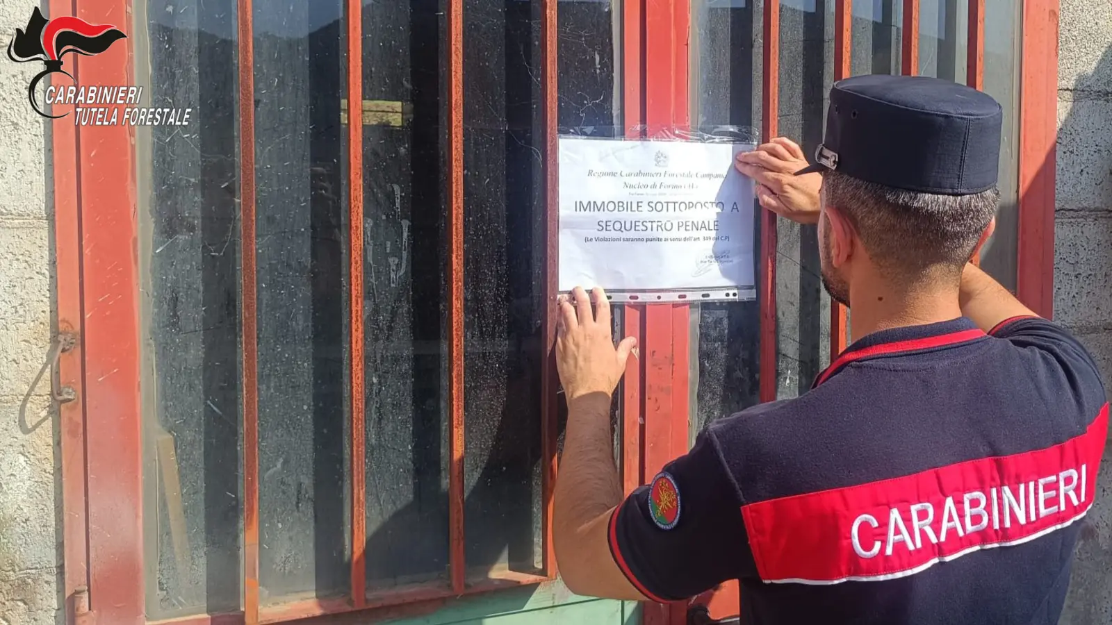 Sequestro immobile in Irpinia: Carabinieri Forestali intervengono