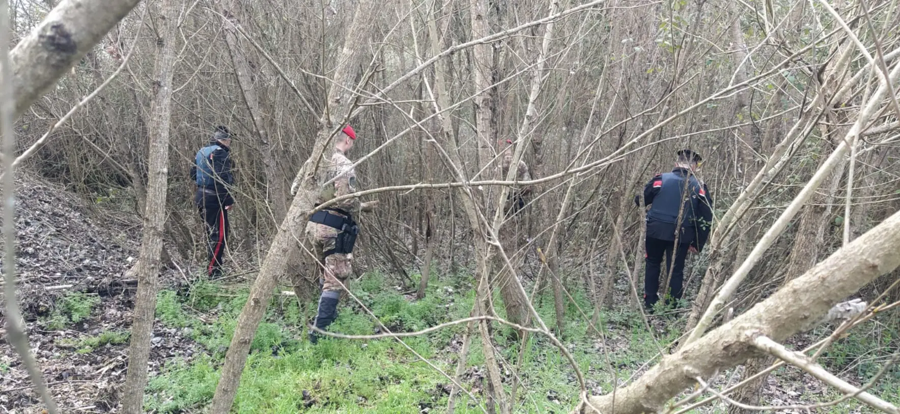 Terni: Carabinieri arrestano due spacciatori in un bosco