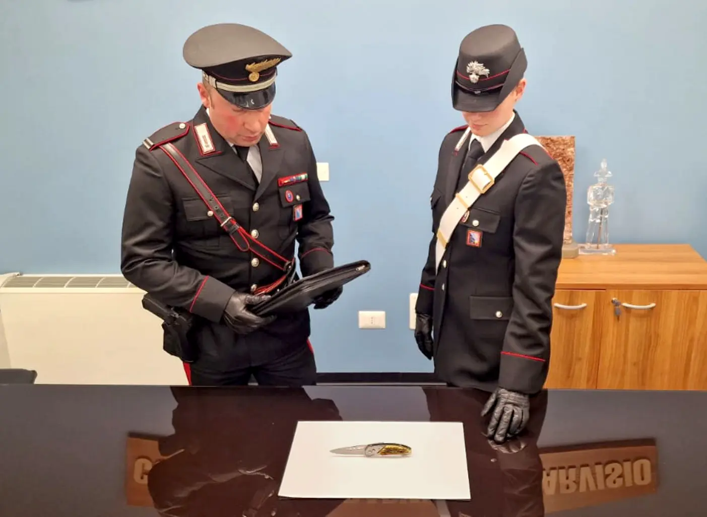 Udine: controlli straordinari dei Carabinieri, sequestri e denunce