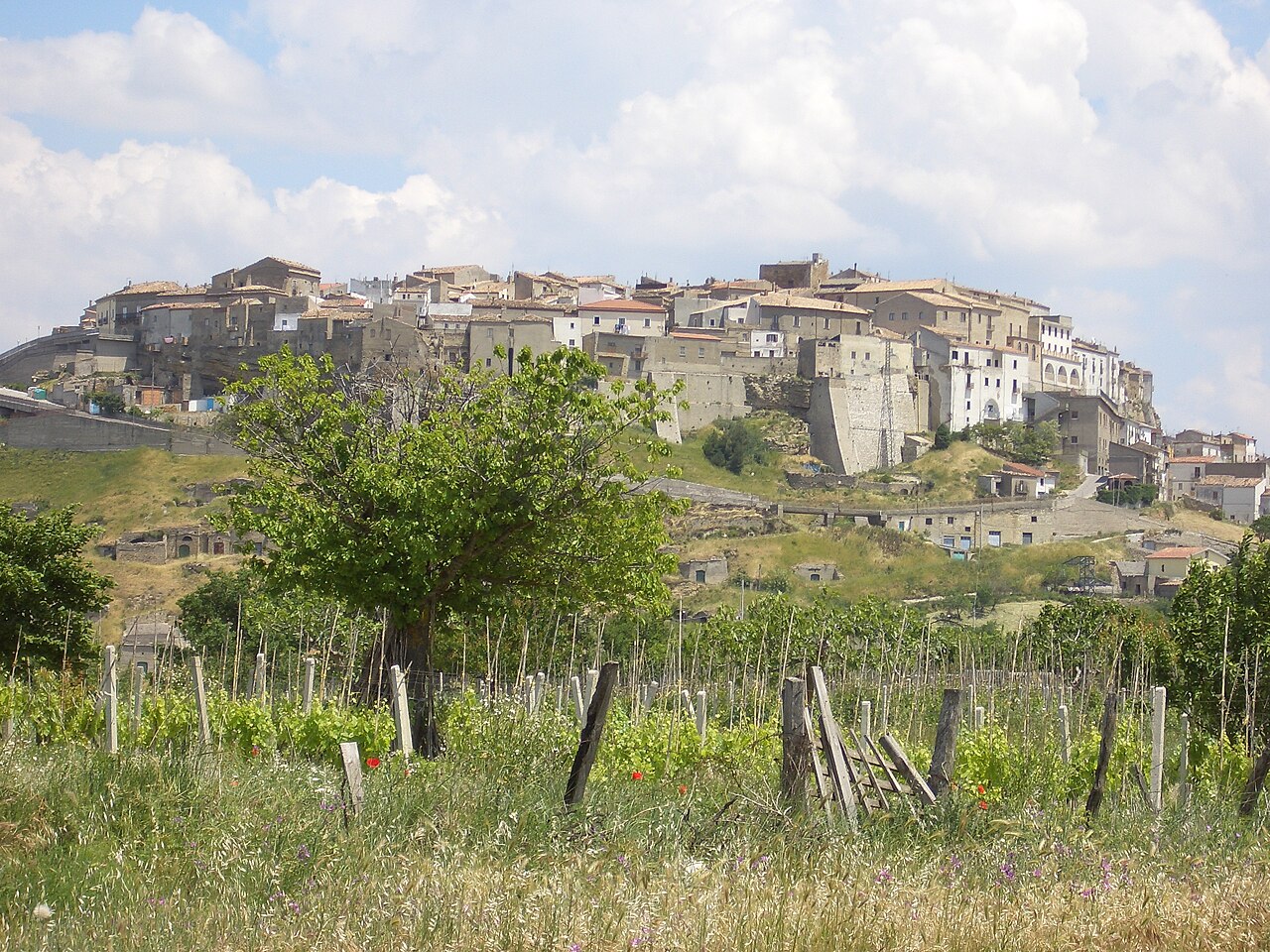 Lega Basilicata: Pepe punta a rafforzare la presenza sul territorio