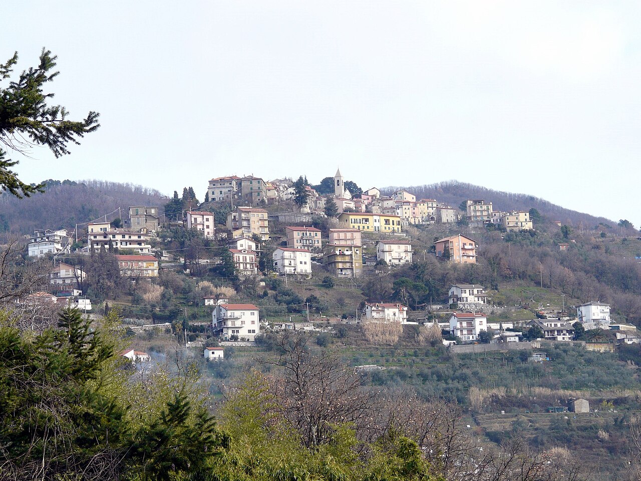 Liguria: 4 nuovi casi di peste suina su cinghiali