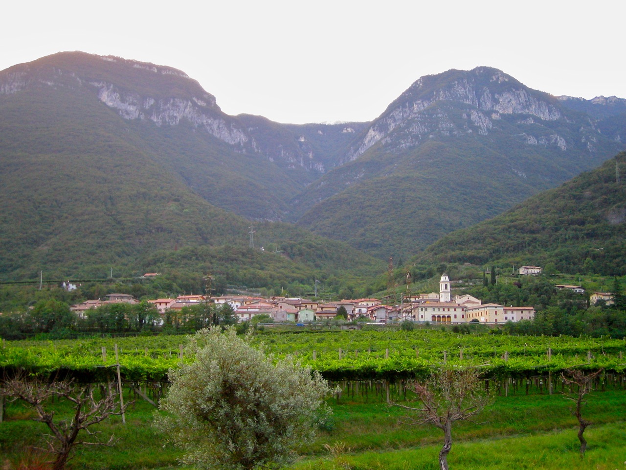 Base jumper bloccato tra gli alberi sul Garda
