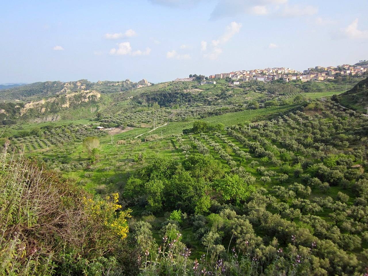 Maltempo: scuole e parchi chiusi in Calabria