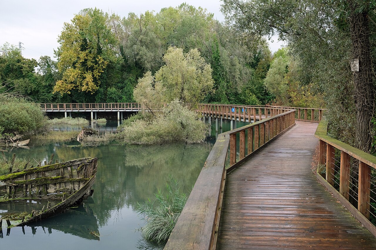 Dosson: maialina vietnamita salvata dopo fuga per le strade