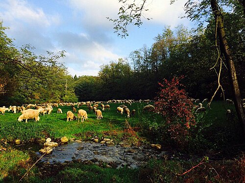 Como: Referendum, affluenza record al 61,90% nei comuni del lecchese