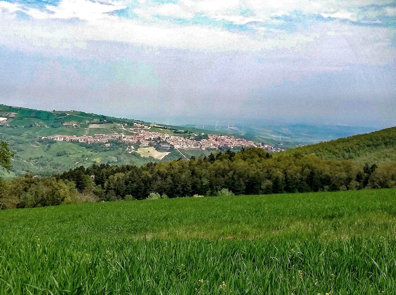 Foggia: Il 'No' vince il referendum sulla Giustizia