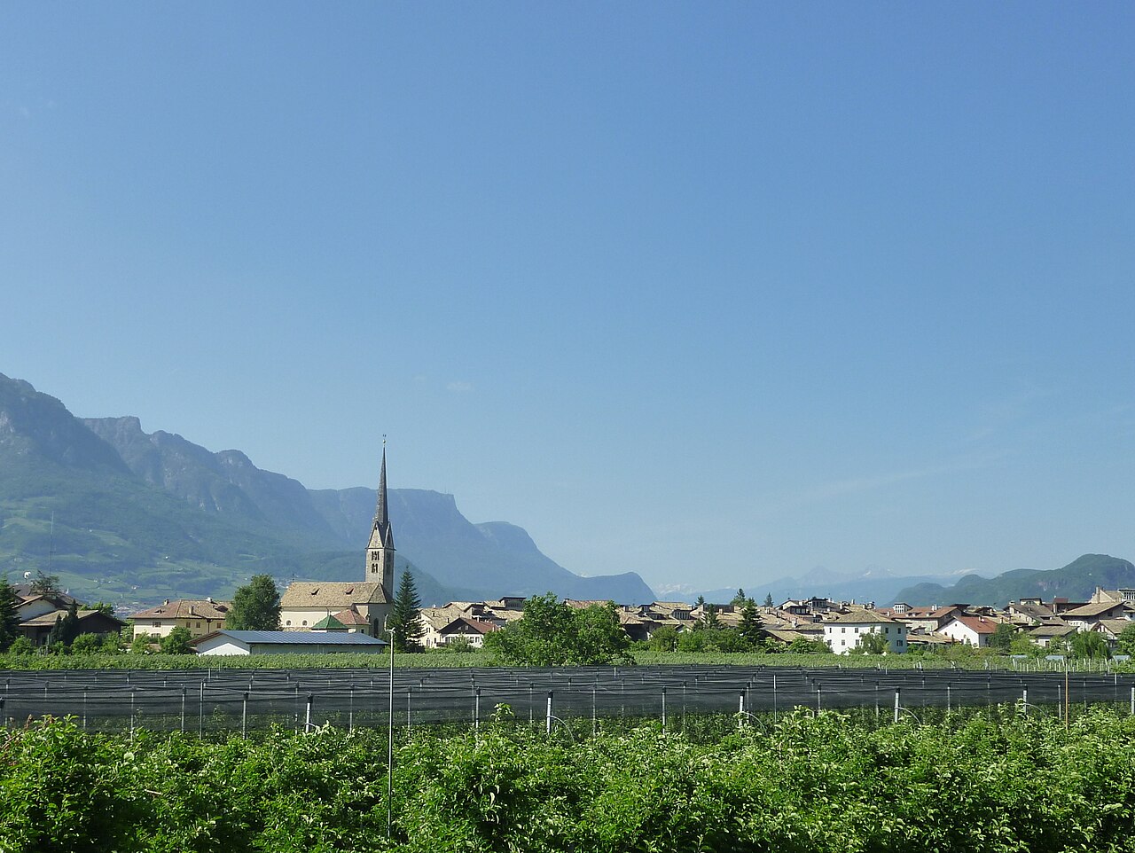 Bolzano: Truffa orologi, anziano raggirato per 2.000 euro