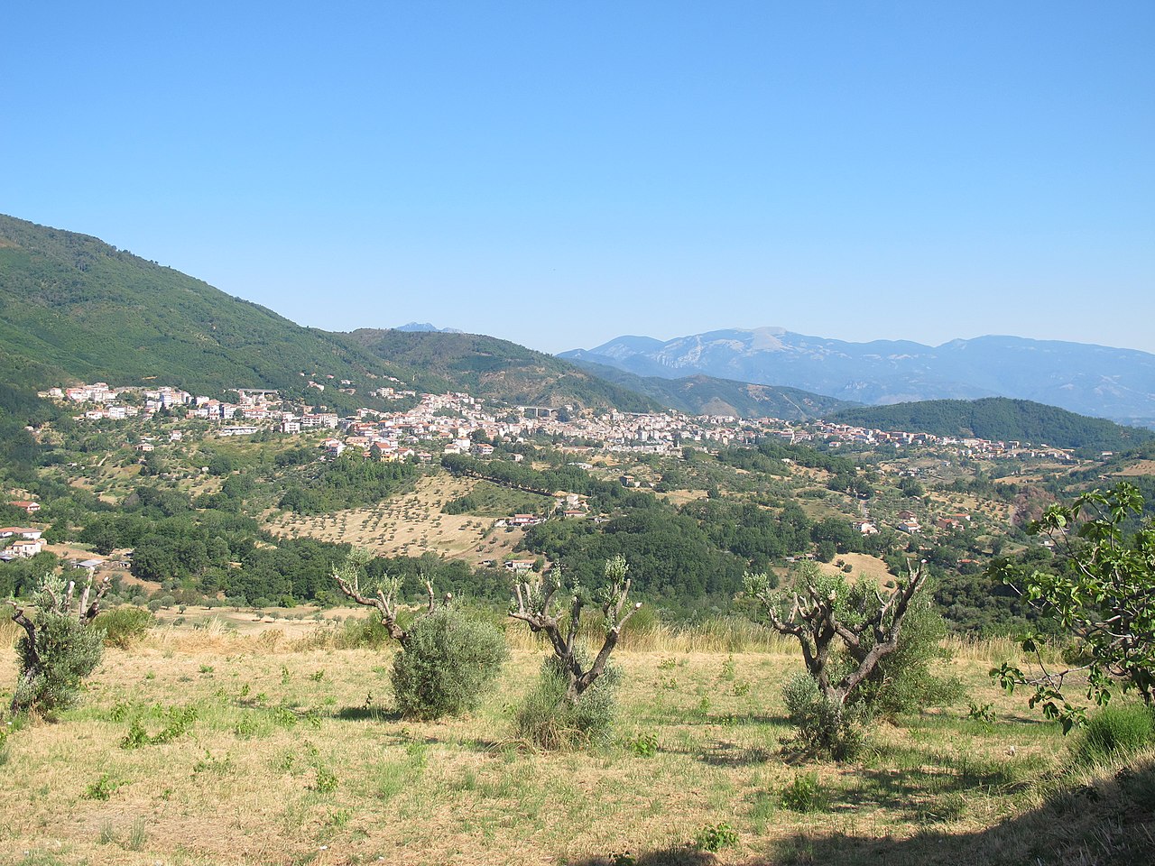 Fagnano Castello: sindaco aggredito e minacciato
