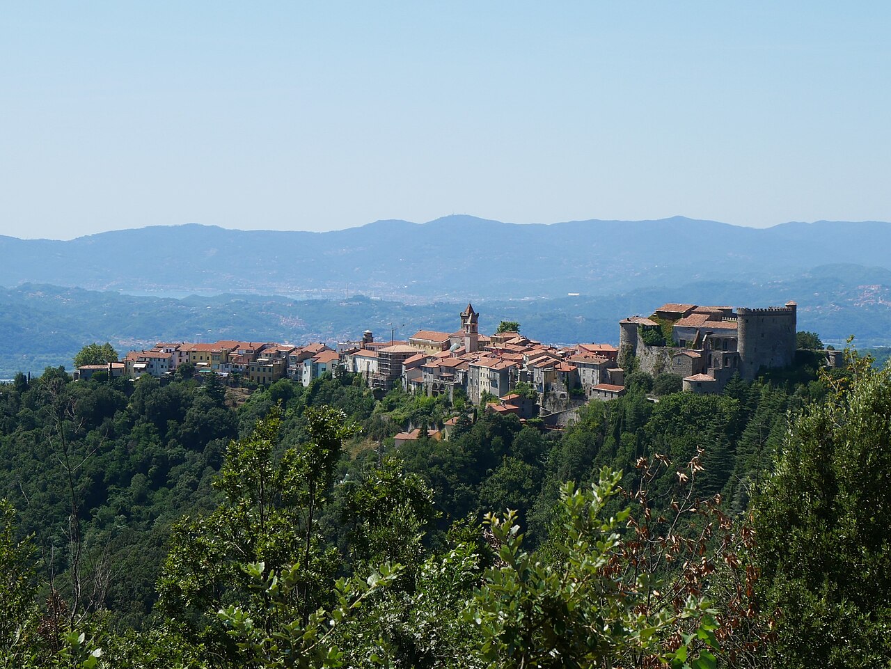 Toscana: Truffa "Lupo Digitale" su WhatsApp dopo il Terremoto