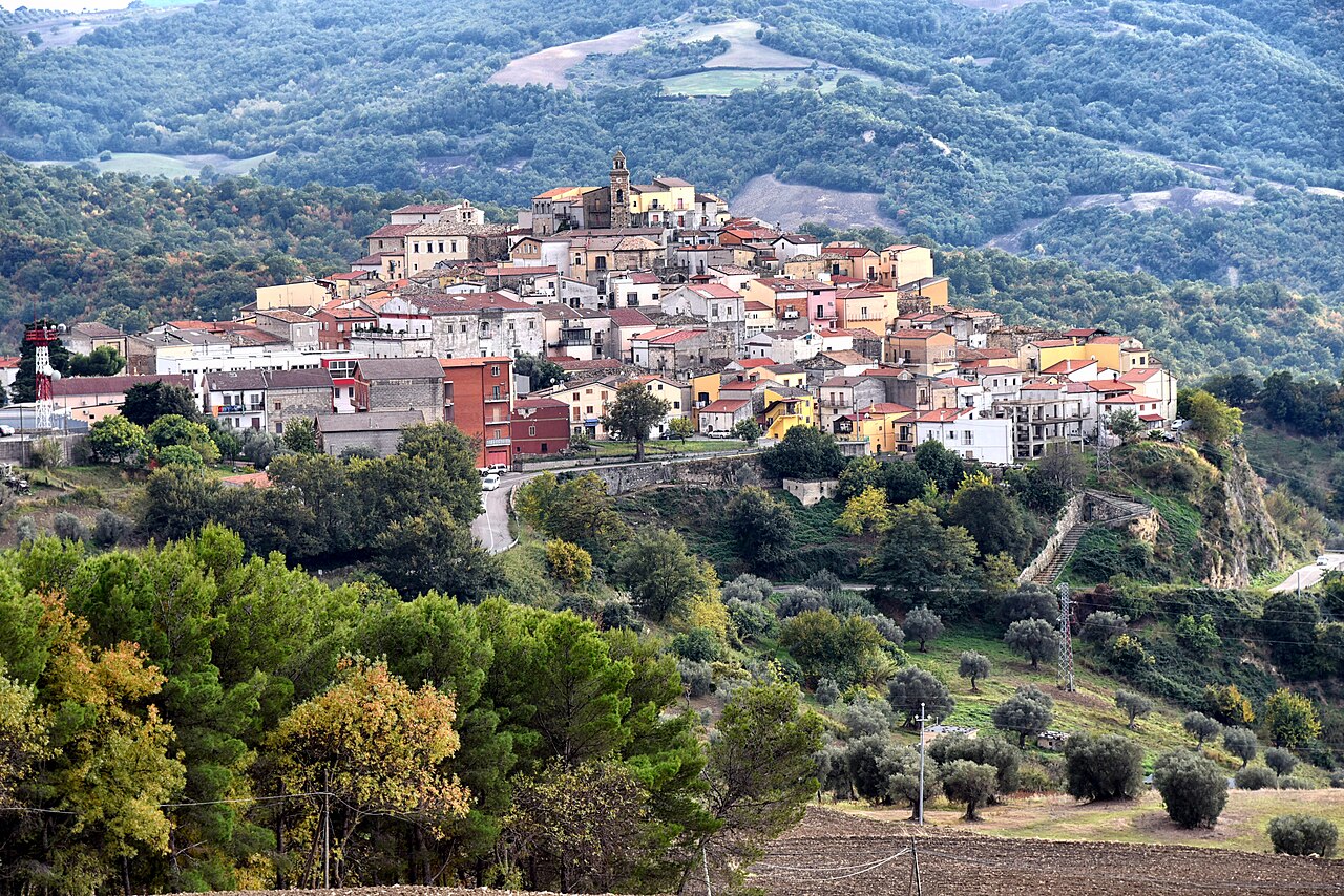Basilicata: Ritorno della Cicogna Nera, un Evento da Non Perdere