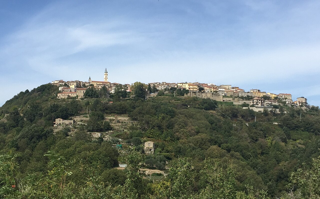 Lupa investita e morta nel Cilento: indagini in corso