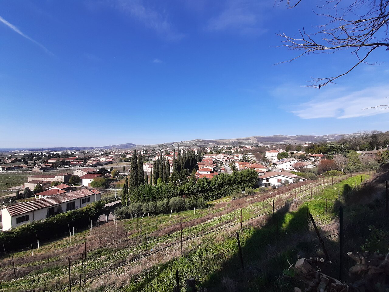 Illasi ospita il torneo internazionale di Cubo di Rubik